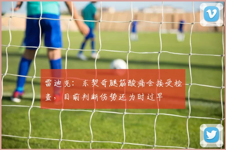 雷迪克：东契奇腿筋酸痛会接受检查，目前判断伤势还为时过早